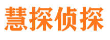 元宝市调查公司